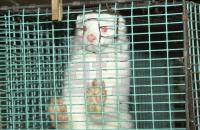 CM30_Farm02_0717.jpg