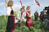 DK17_Kohl04_0735.jpg