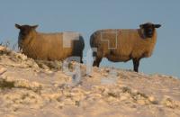 EC09_Winter16_0742.jpg