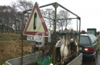 EN13_Treibjagd01_0748.jpg