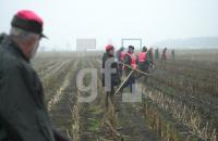 EN13_Treibjagd04_0763.jpg