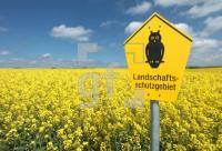 FG17_Landschaftsschutzgebiet1_0145.jpg