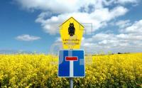 FG17_Landschaftsschutzgebiet4_0132.jpg