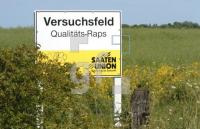 FH08_Versuchsraps_0121.jpg