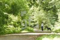 FH08_Wald7_0162.jpg