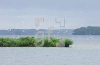 FH28_PloenerSee_0910.jpg