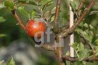 FK23_Garten05_0196.jpg