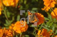 FK23_Garten06_0197.jpg