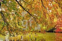 FK23_Herbst01_0435.jpg
