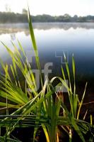 FK30_Baggersee01_0411.jpg