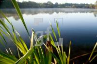FK30_Baggersee02_0411.jpg