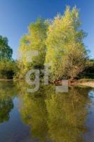 FK30_Baggersee07_0411.jpg
