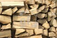 GF06_Holz_0142.jpg