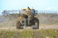 GF20_Guelle02_0107.jpg