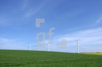 GG05_Gras02_0110.jpg
