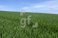 GG05_Gras03_0105.jpg