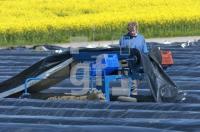 GG15_Spargel02_0104.jpg