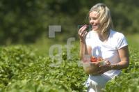 GH29_Erdbeeren01_0114.JPG