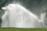 GI02_Bewaesserung01_0198.jpg