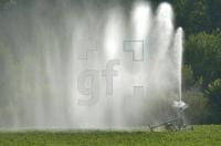 GI02_Bewaesserung06_0122.jpg
