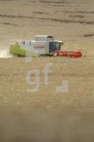 GJ02_Rapsernte02_0129.JPG