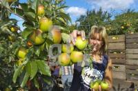 GK12_Apfel01_0741.jpg