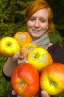 GK14_Apfel02_0151.jpg