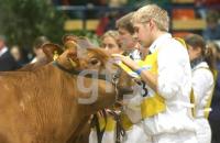 HC26_Rind02_0903.jpg