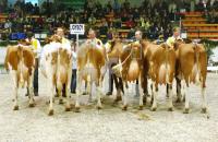 HC26_Rind08_0913.jpg