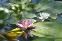 HI02_See07_0151.jpg