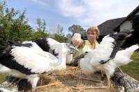 HI05_Storch03_0145.jpg