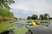 HI05_Wasser19_0123.jpg