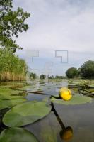 HI05_Wasser20_0138.jpg