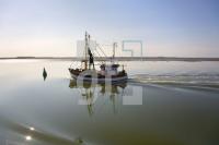 HI25_Amrum60_1358.jpg