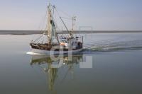 HI25_Amrum61_1358.jpg