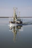 HI25_Amrum62_1358.jpg