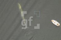 HJ16_Finnwal04_0132.JPG