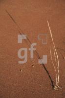 HK99_Nordsee06_1366.jpg