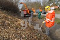 ID27_Schreder_0128.JPG