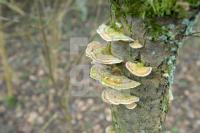 IE10_Pilz01_01629.JPG