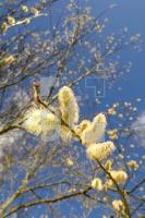 IF03_Fruehling05_0157.jpg