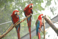 II19_Gettorf03_0103.JPG