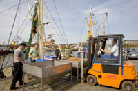 II20_Husum05_1355.jpg