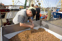 II20_Husum09_1355.jpg