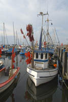 IJ02_Lang01_0167.jpg