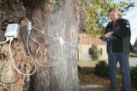 IL14_Baum03_0161.JPG