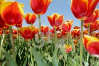 JG06_LGS26_0149.JPG