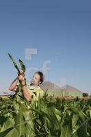 JI03_Biogas01_2040.jpg