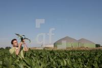 JI03_Biogas02_2047.jpg