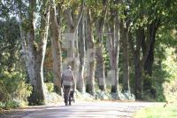 JK12_Allee01_0109.JPG